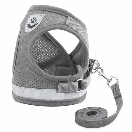 MeshWalk Harness & Leash Set