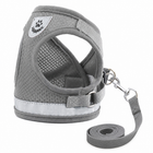 MeshWalk Harness & Leash Set