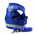 Blue / S 30–34 cm (about 1.5–3 kg)
