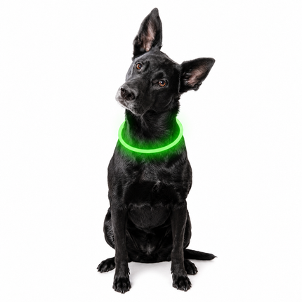 NightLine LED Dog Collar